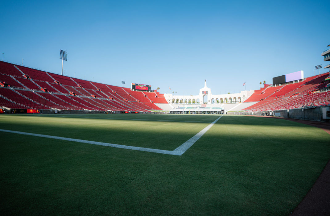 field and green grass