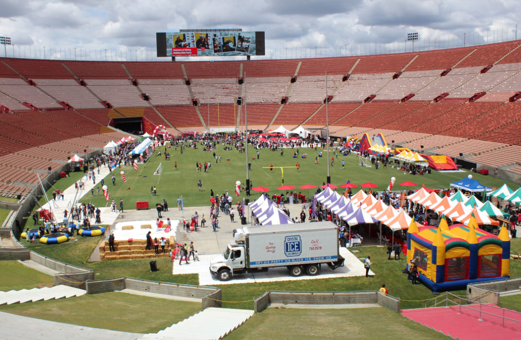 people on field