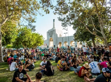 people sitting on grass under trees