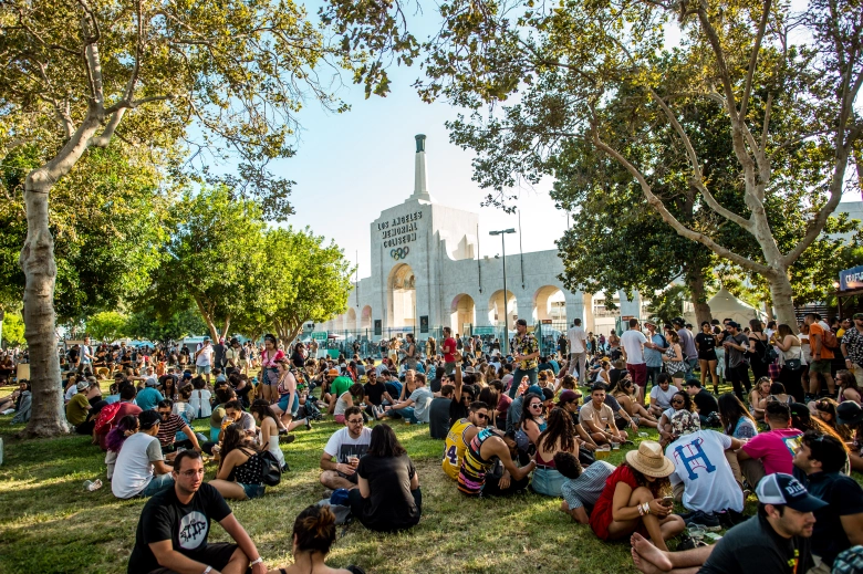 people sitting on grass under trees