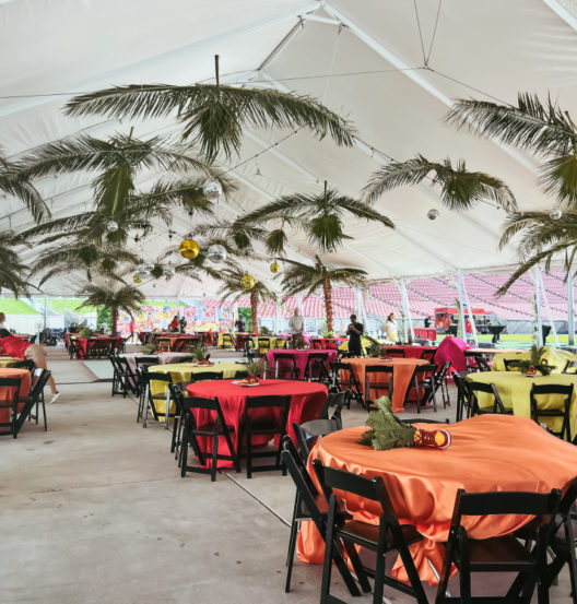 palm trees and orange round tables